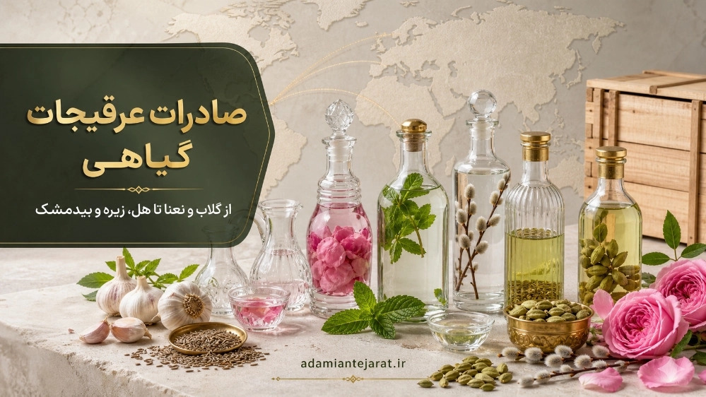 Üstün kaliteli bitki özlerinin toptan satışı ve ihracatı