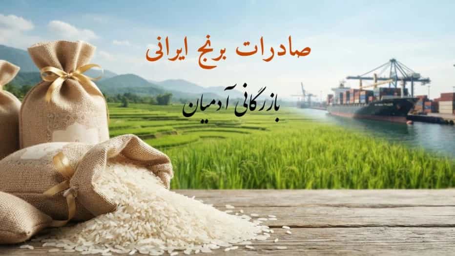 Buying and exporting high quality Iranian rice from Adamian Trading
