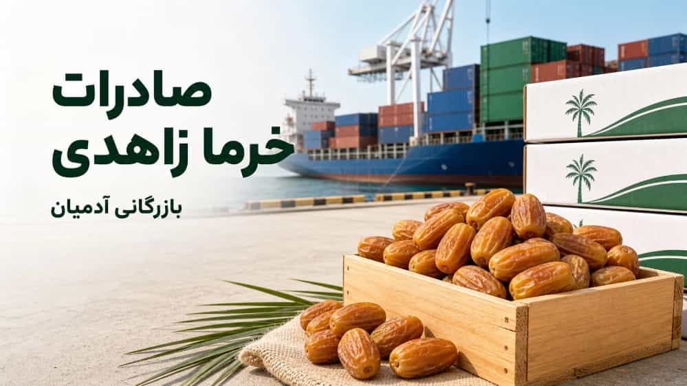 Export of dried Zahedi dates and standards, sorting and packaging